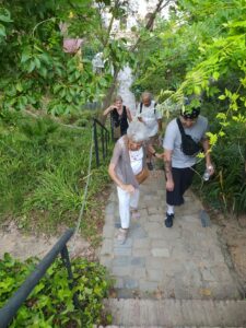 2022 08 04 paseo por el huerto cerca del jardín botánico histórico