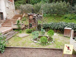 2022 03 08 Masiá del jardín histórico botánico