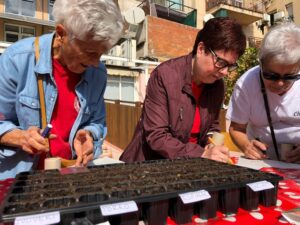 2022 10 06 Plantamos en el taller de hort