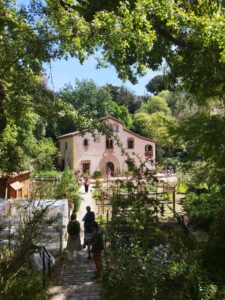 2025 04 18 Visita de la Macià del Jardín botánico histórico
