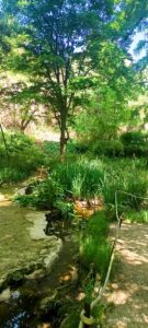 2025 05 18 Paseo por el jardín botánico histórico
