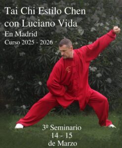luciano vida taichichuan