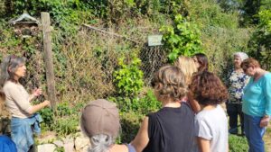 20260426_espaicomunitario_huerto